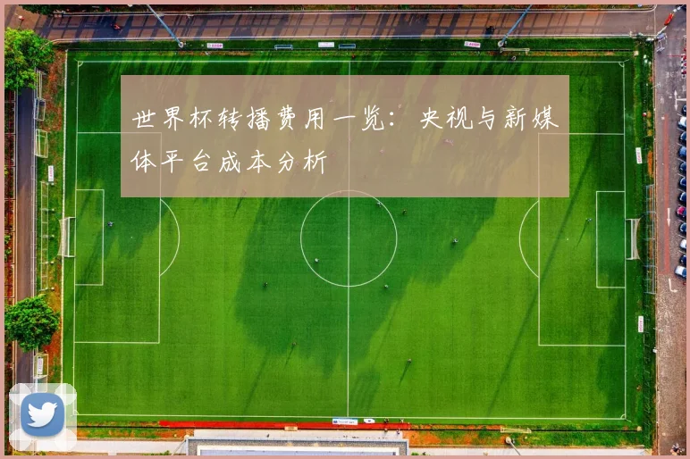 世界杯转播费用一览:央视与新媒体平台成本分析